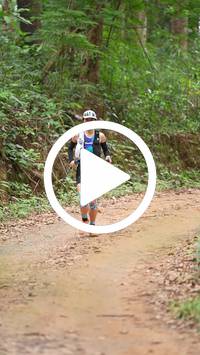 BIB:  <button type="button" onclick="openModal(26809383)" class="btn btn-primary btn-sm float-right" data-toggle="modal" data-target=".modal-high-quality">
                <i class="fa fa-download"></i> Download
                </button>